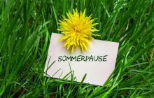 Wiese mit gelber Blume und Schild "Sommerpause"