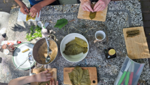 Tisch von oben mit Händen und Weinblättern