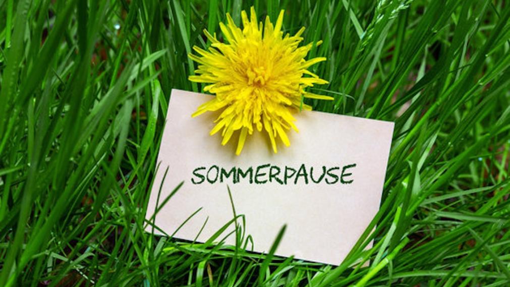 Wiese mit gelber Blume und Schild "Sommerpause"